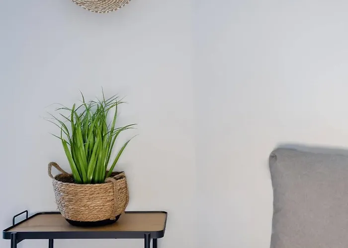 Terra Nuova Zante טסיליבי